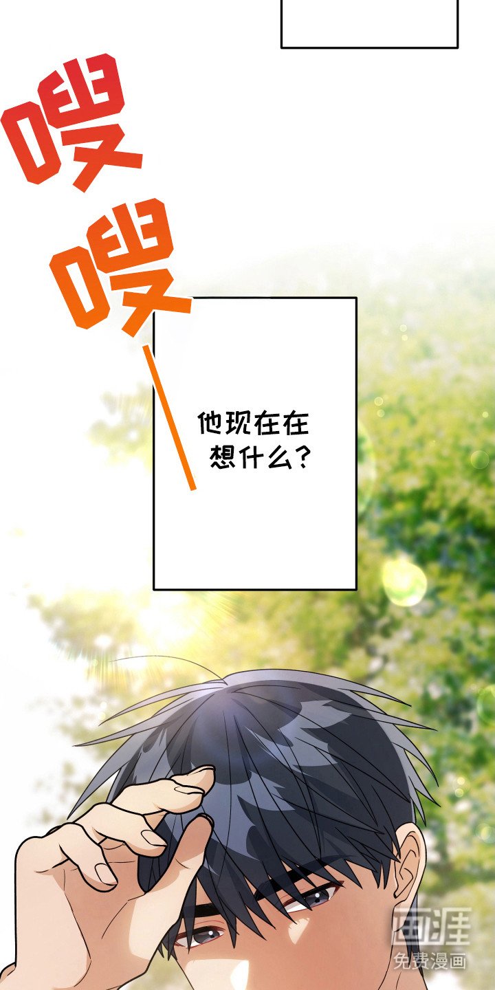 第26章：还喜欢什么