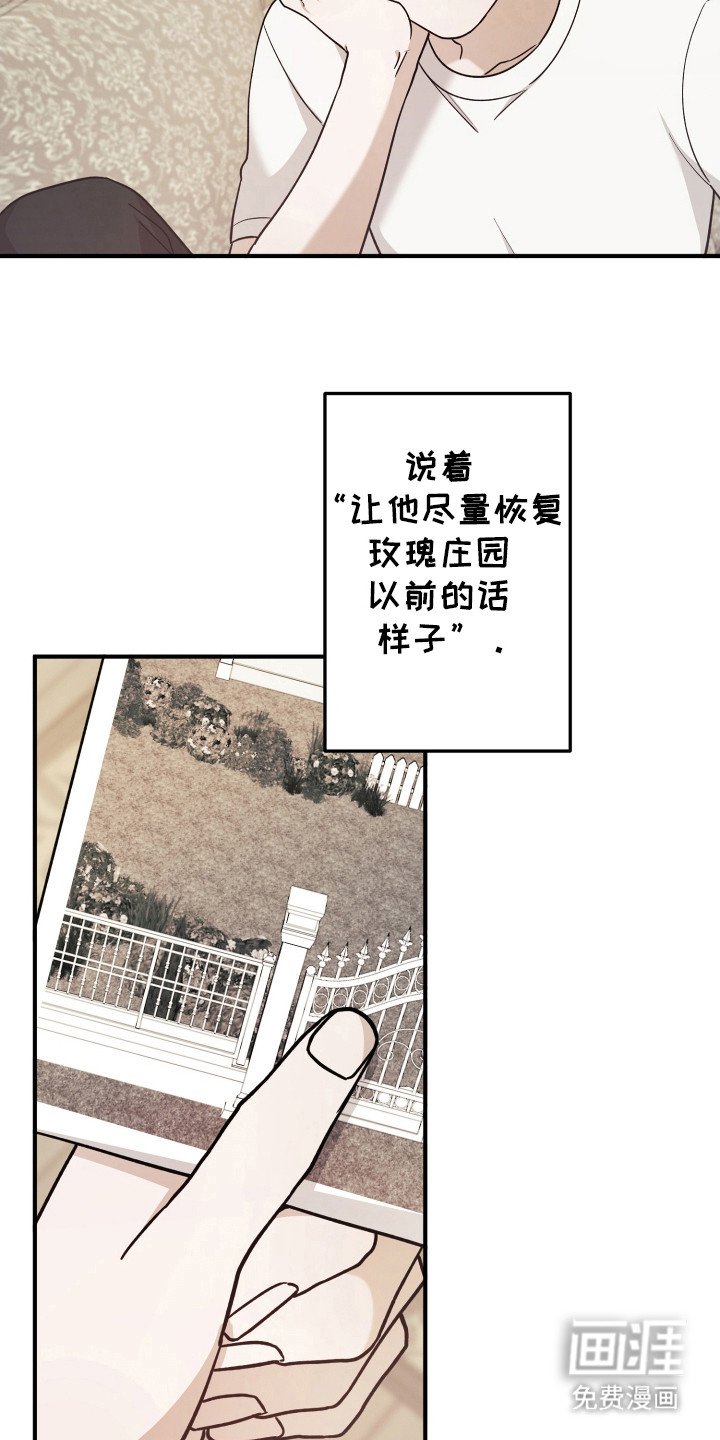 第26章：还喜欢什么