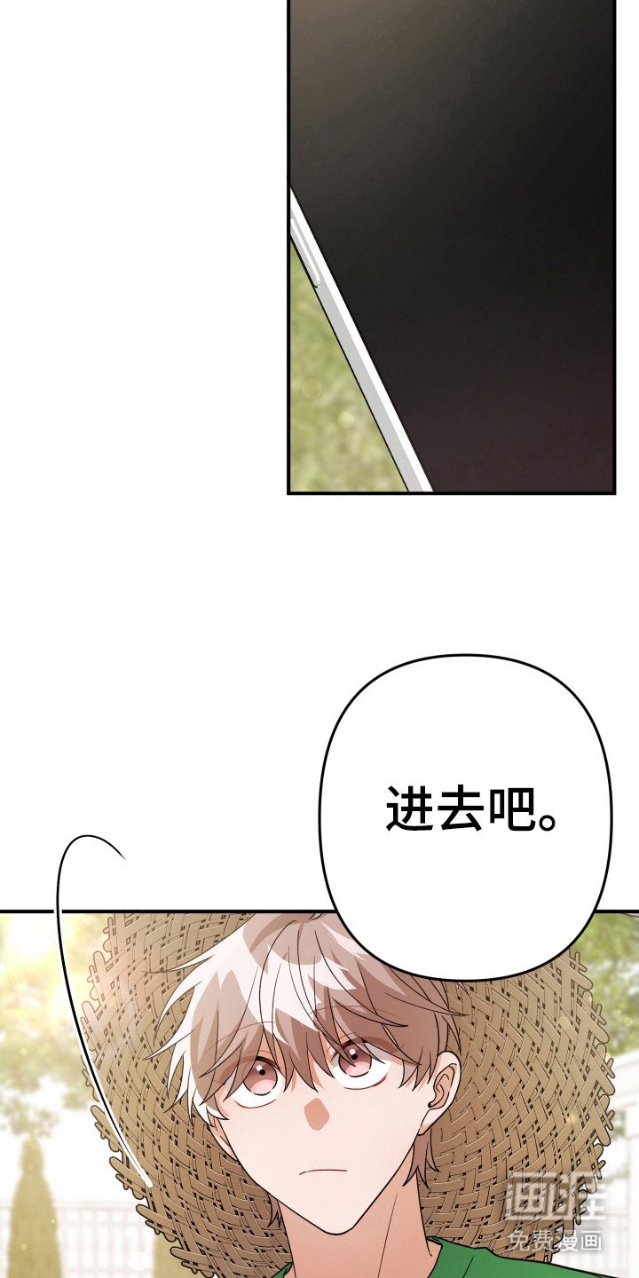 第26章：还喜欢什么