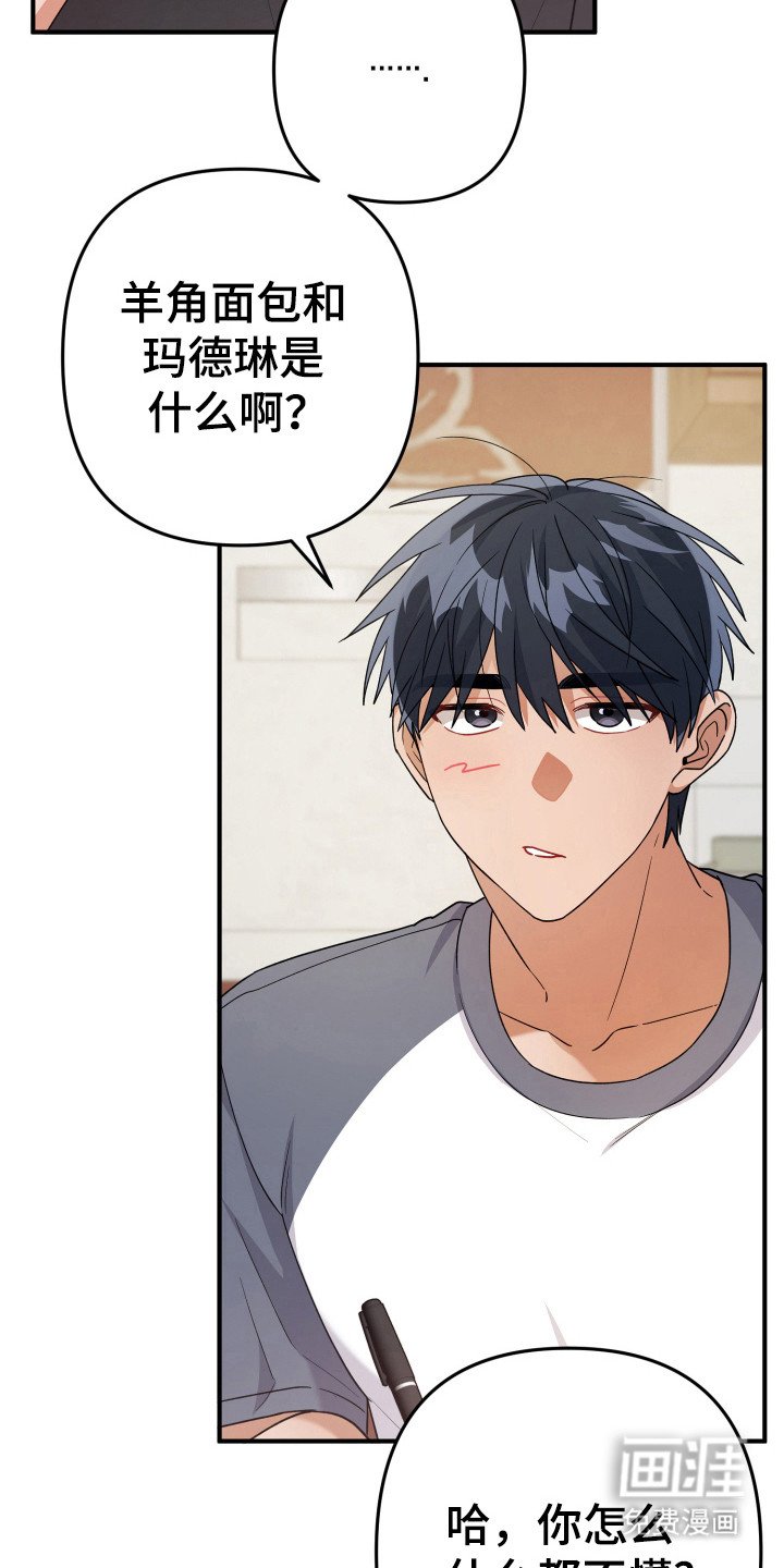 第28章：食物选购