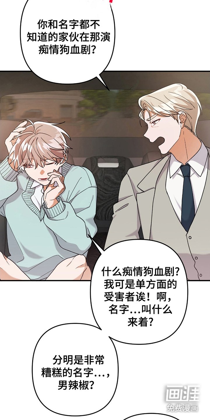 第3章：灰熊