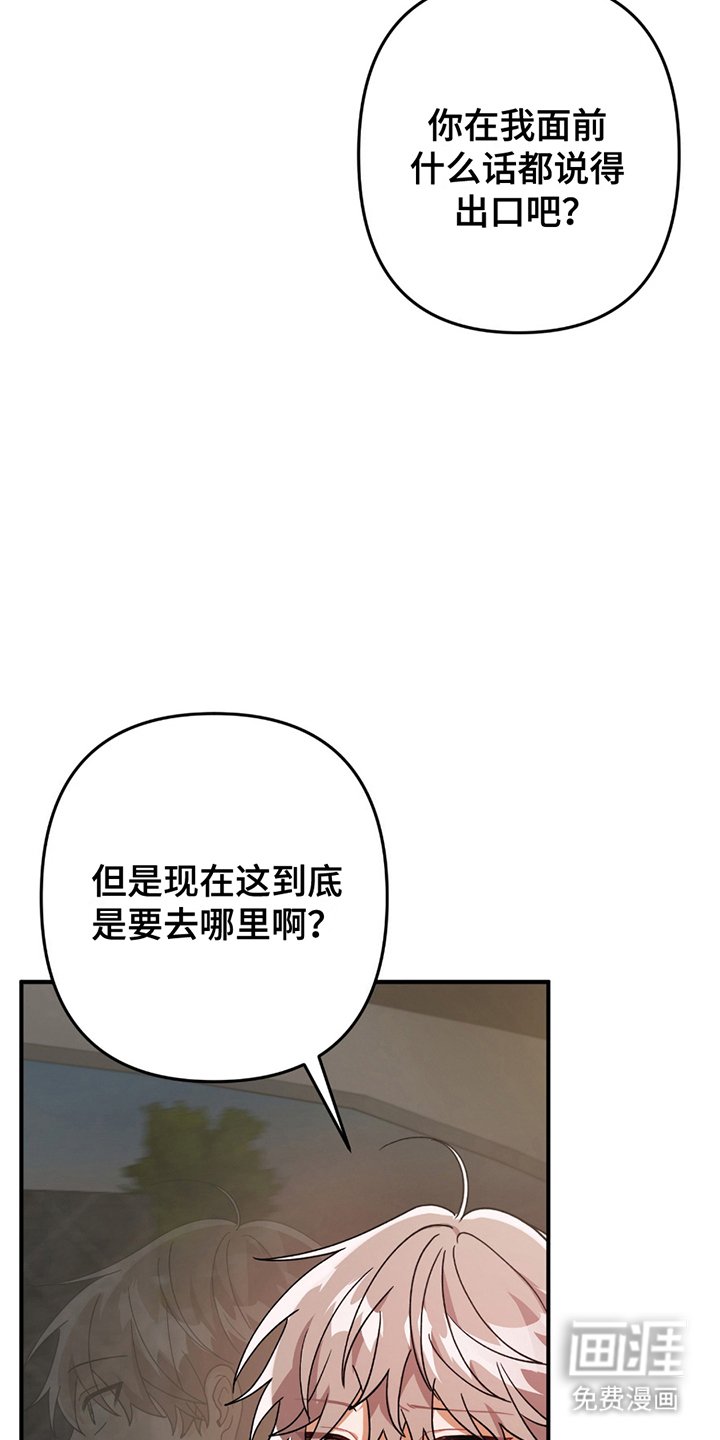 第3章：灰熊