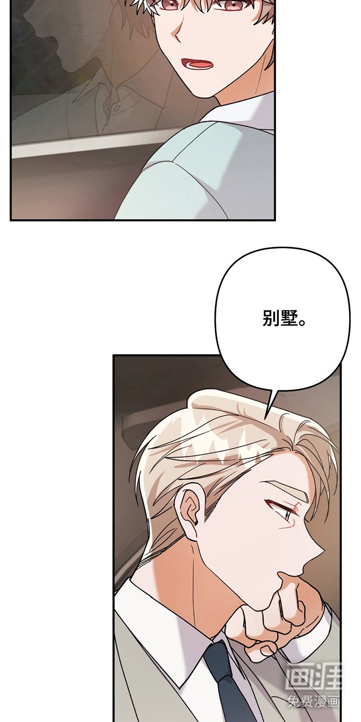 第3章：灰熊