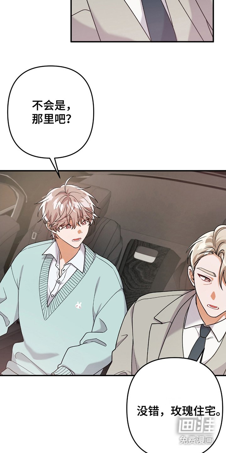 第3章：灰熊