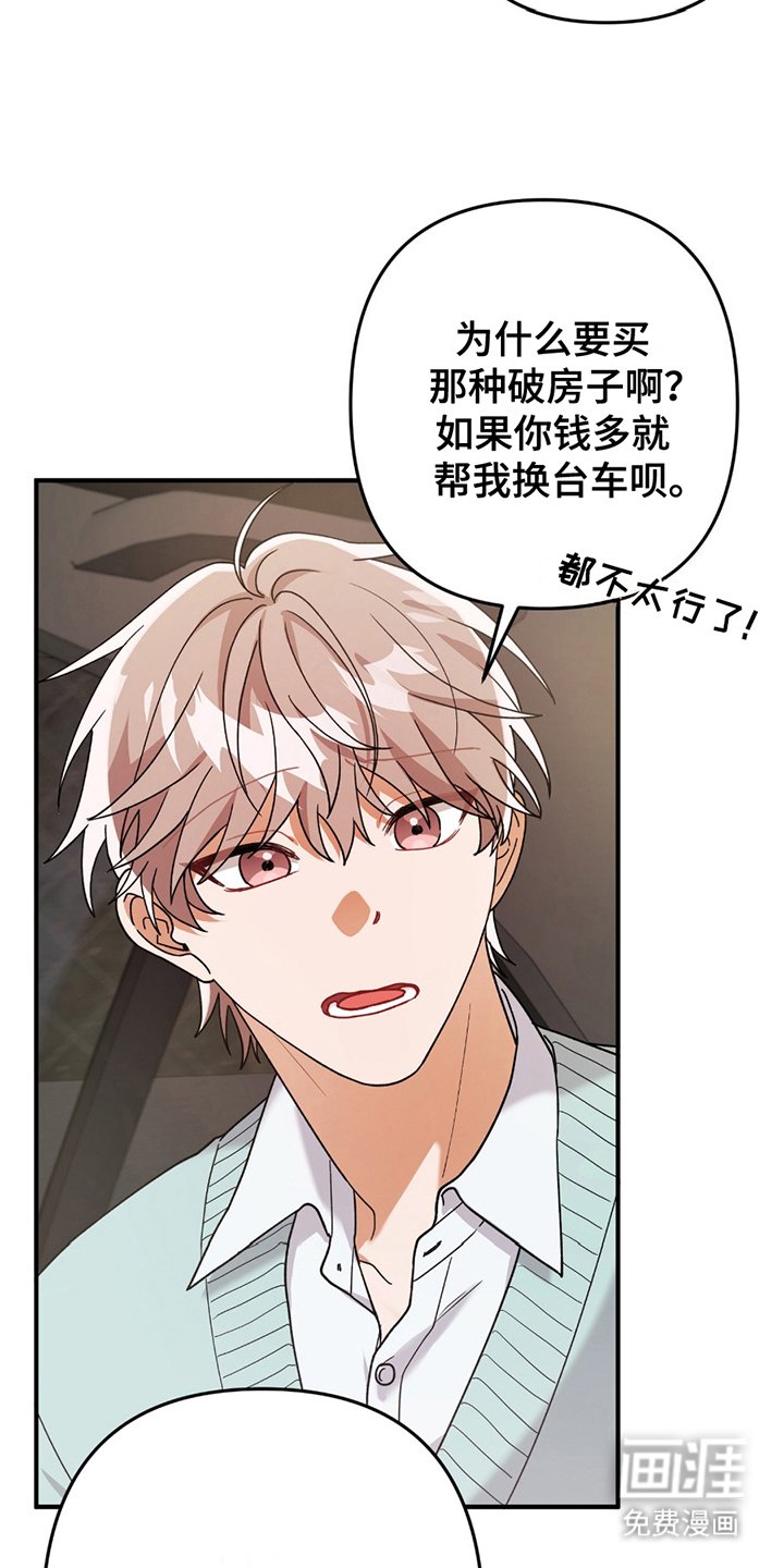 第3章：灰熊