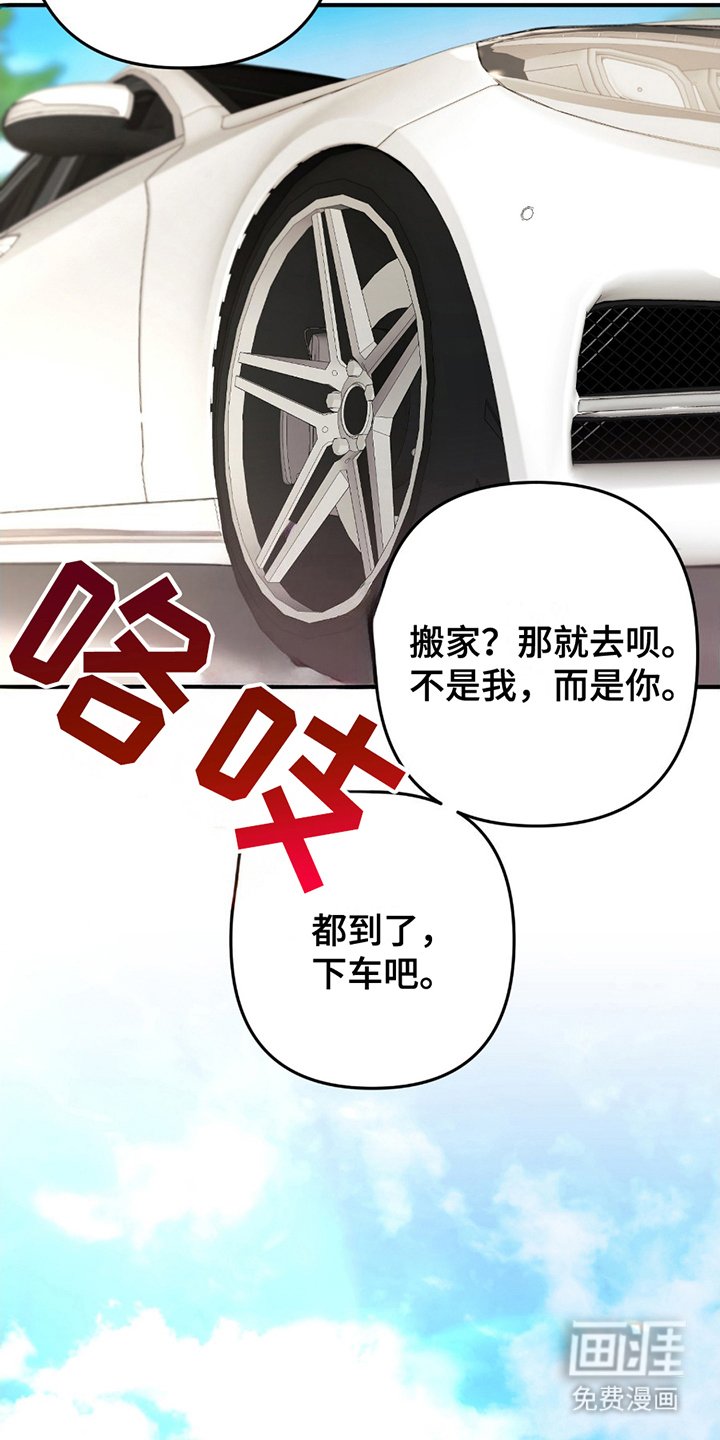 第3章：灰熊