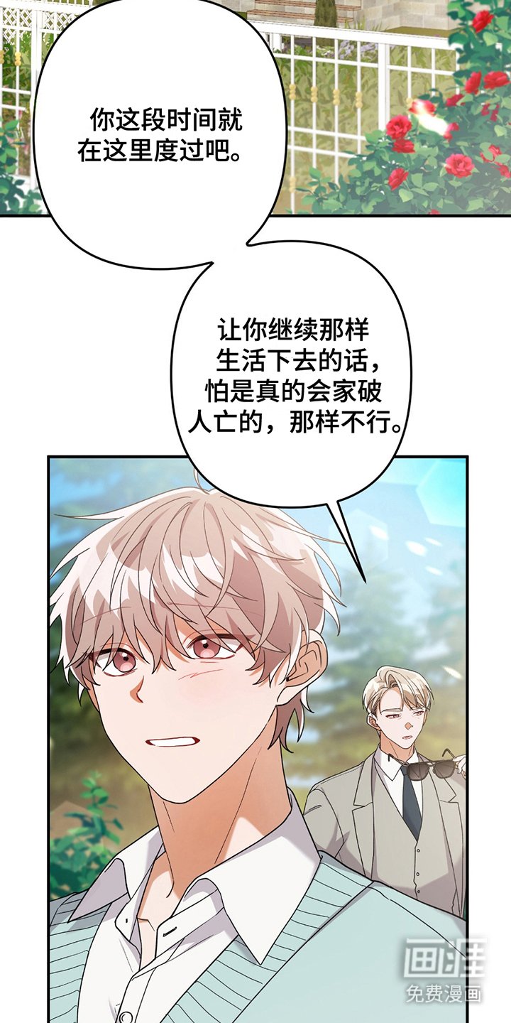 第3章：灰熊