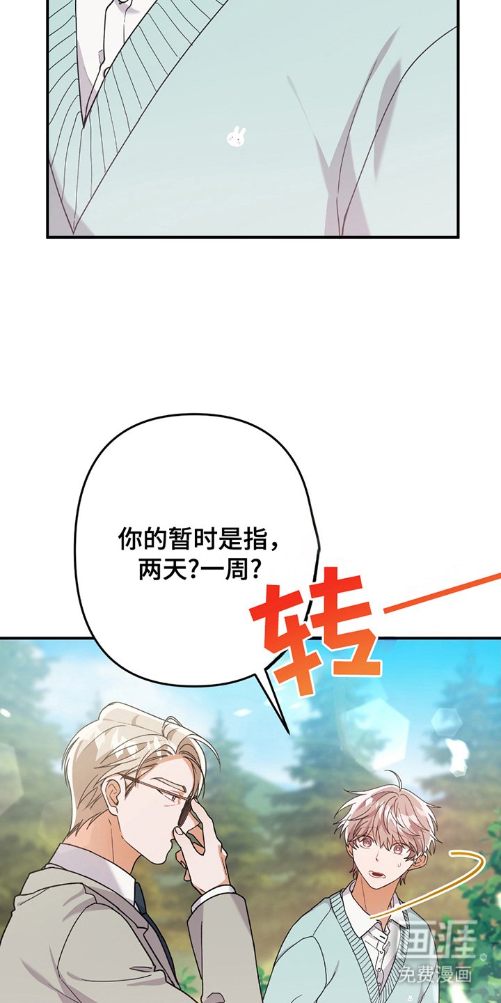 第3章：灰熊