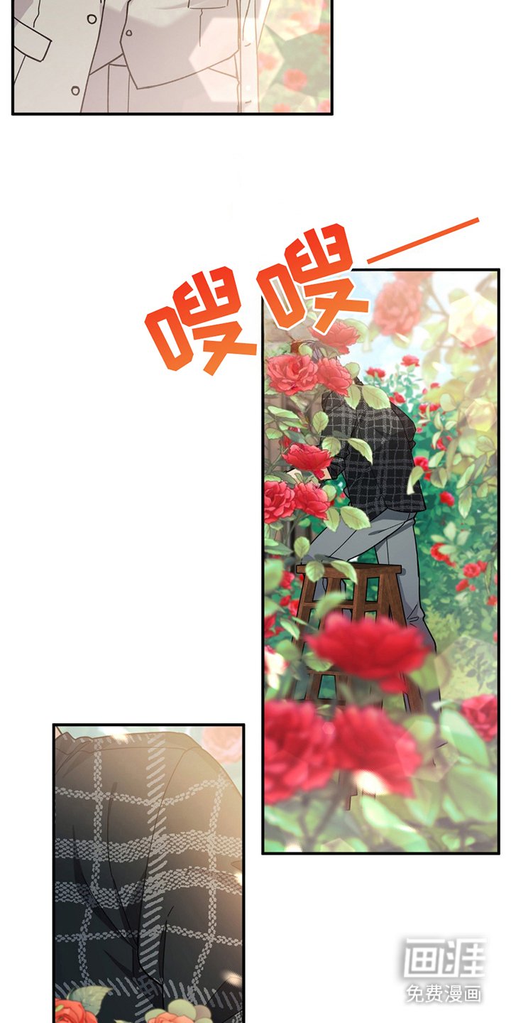 第3章：灰熊