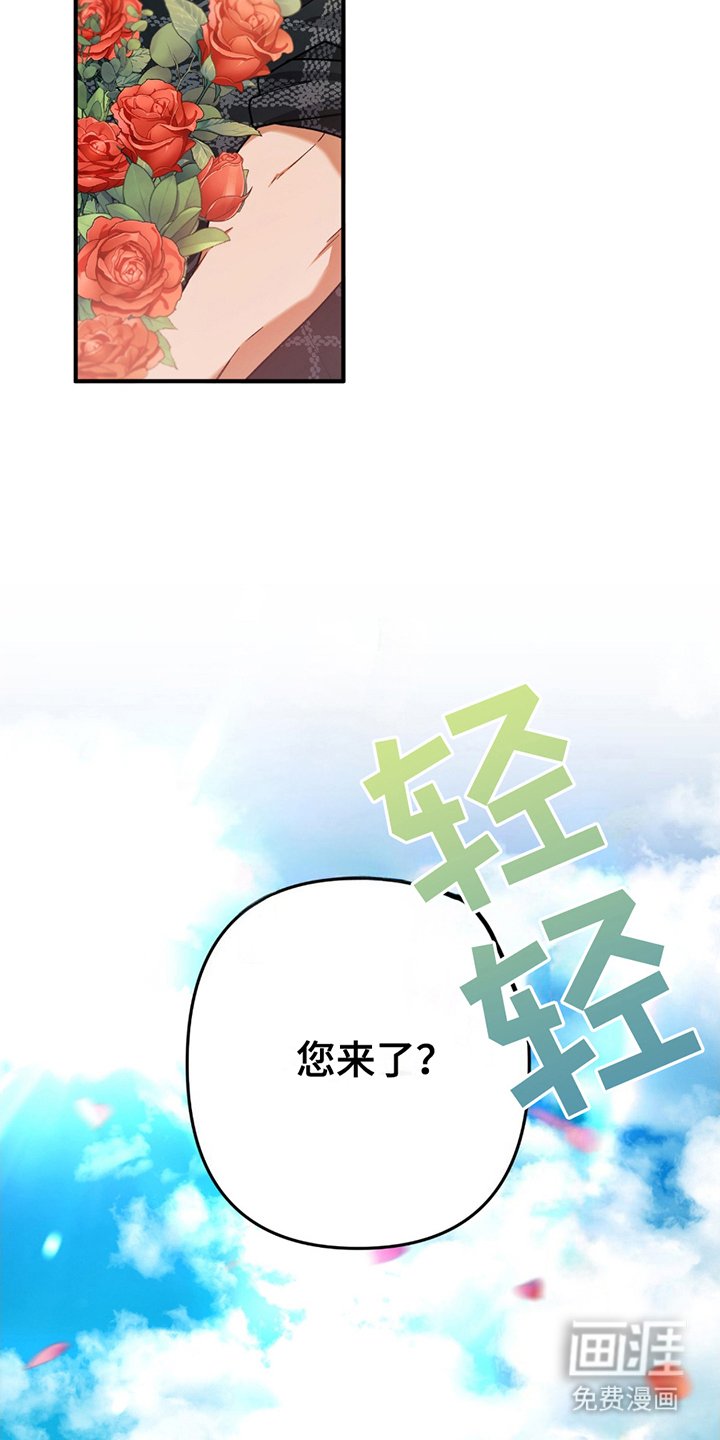 第3章：灰熊
