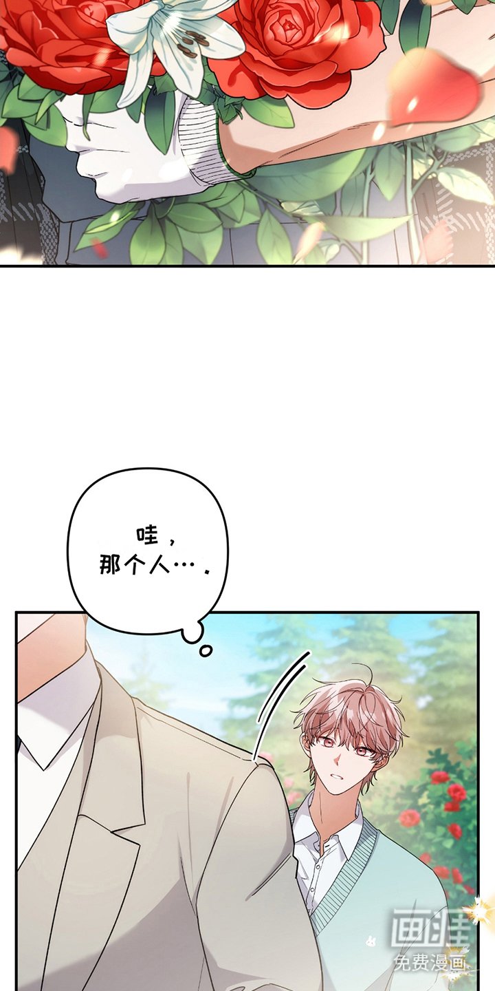 第3章：灰熊