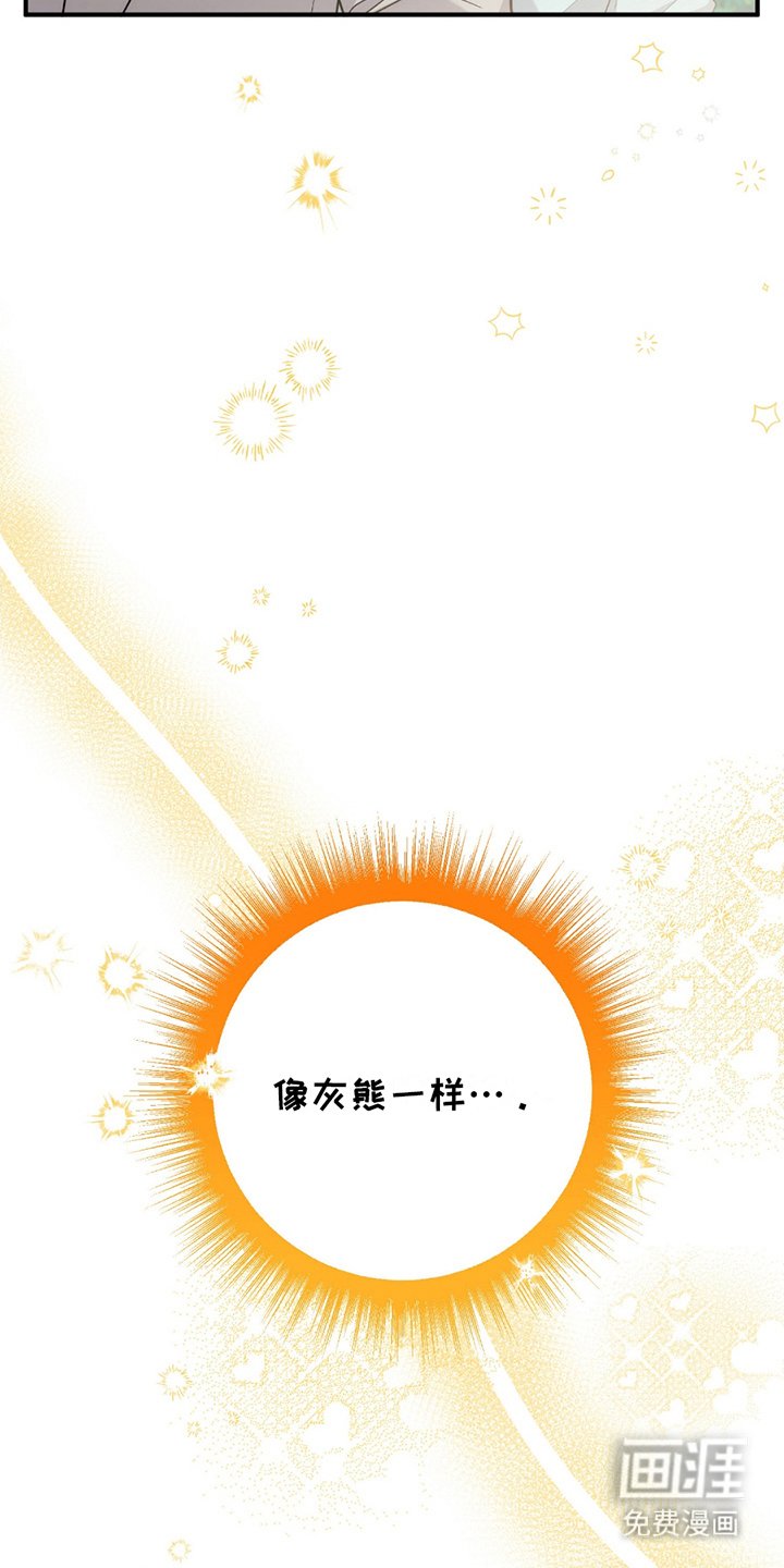 第3章：灰熊
