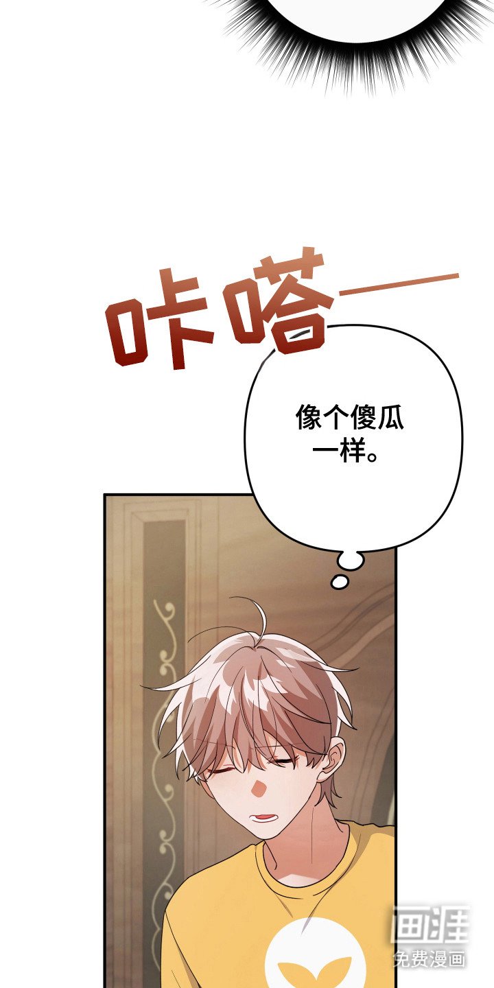 第35章：照片