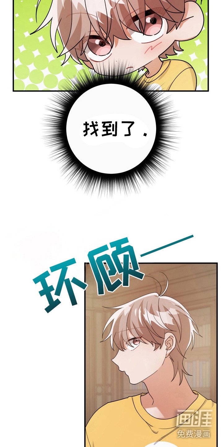 第35章：照片