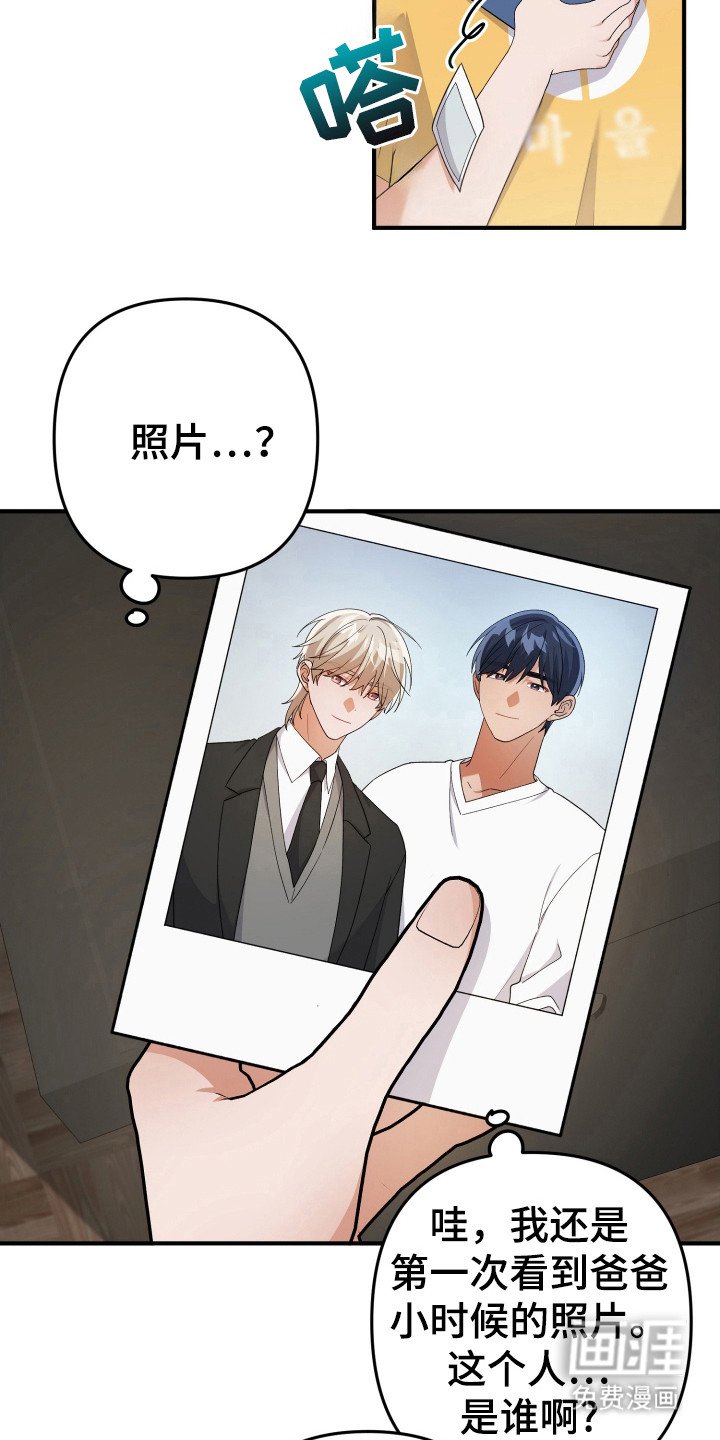 第35章：照片