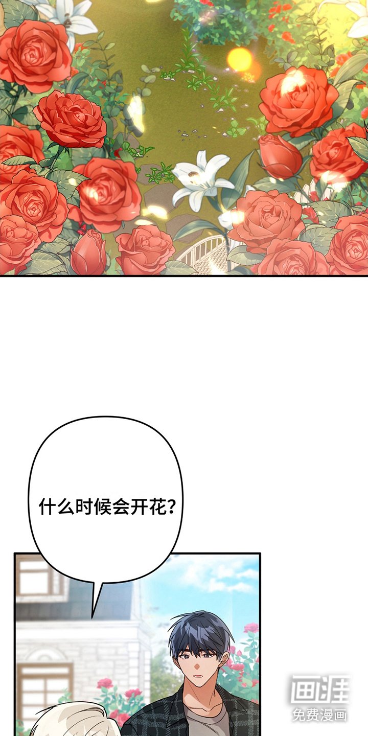 第4章：真的吗