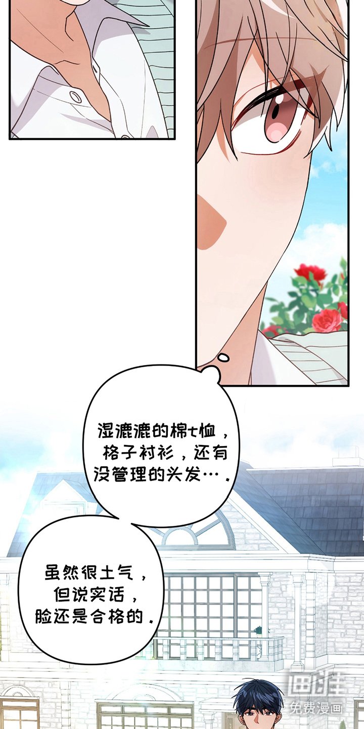 第4章：真的吗