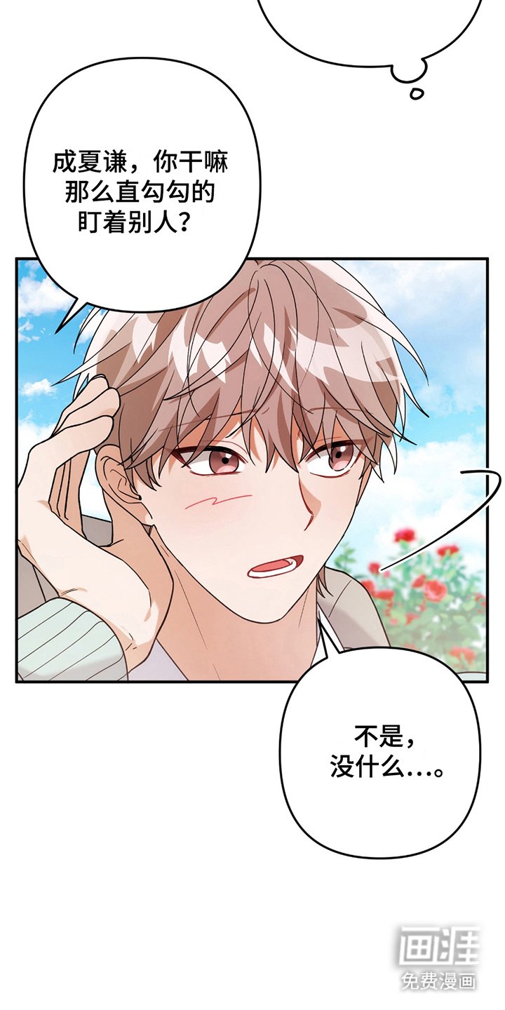 第4章：真的吗