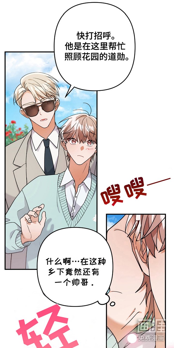 第4章：真的吗