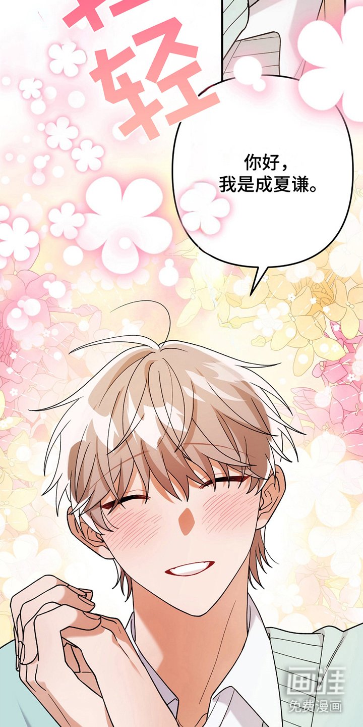 第4章：真的吗