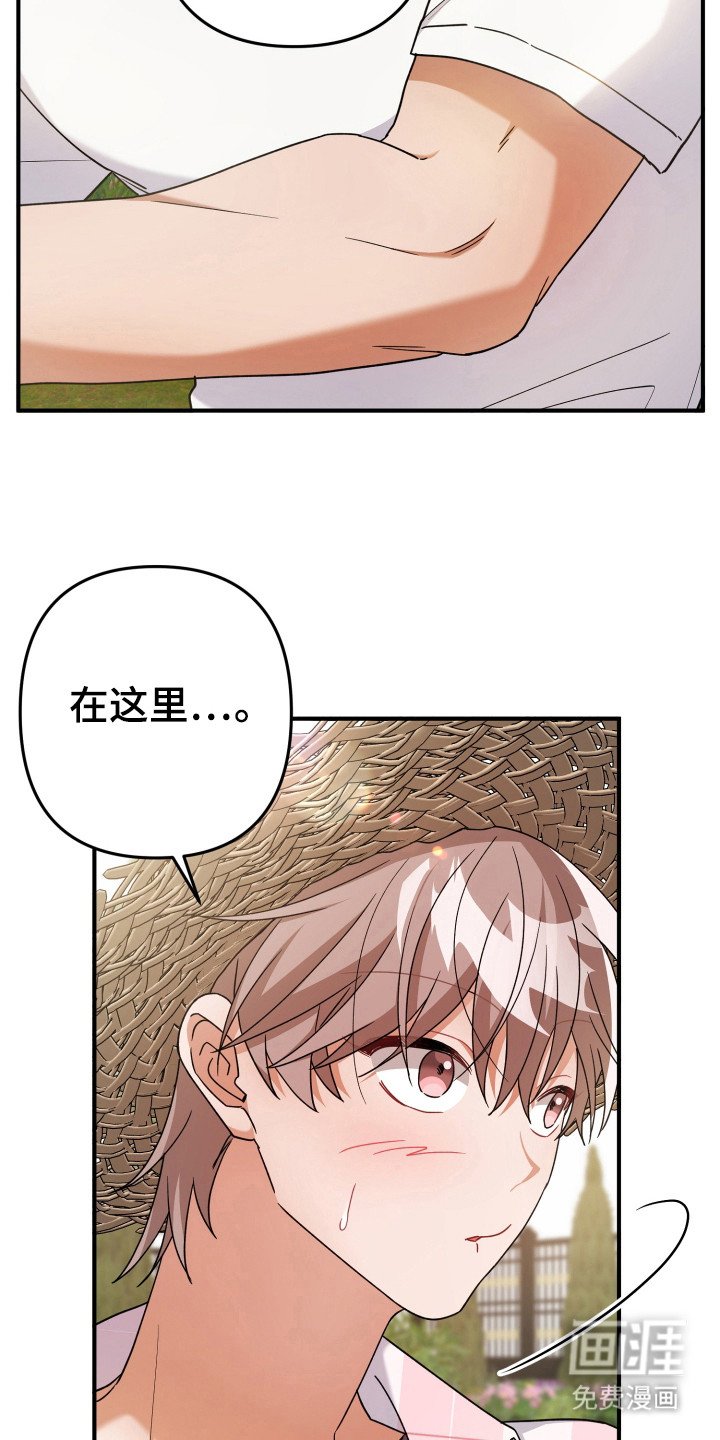 第41章：画画