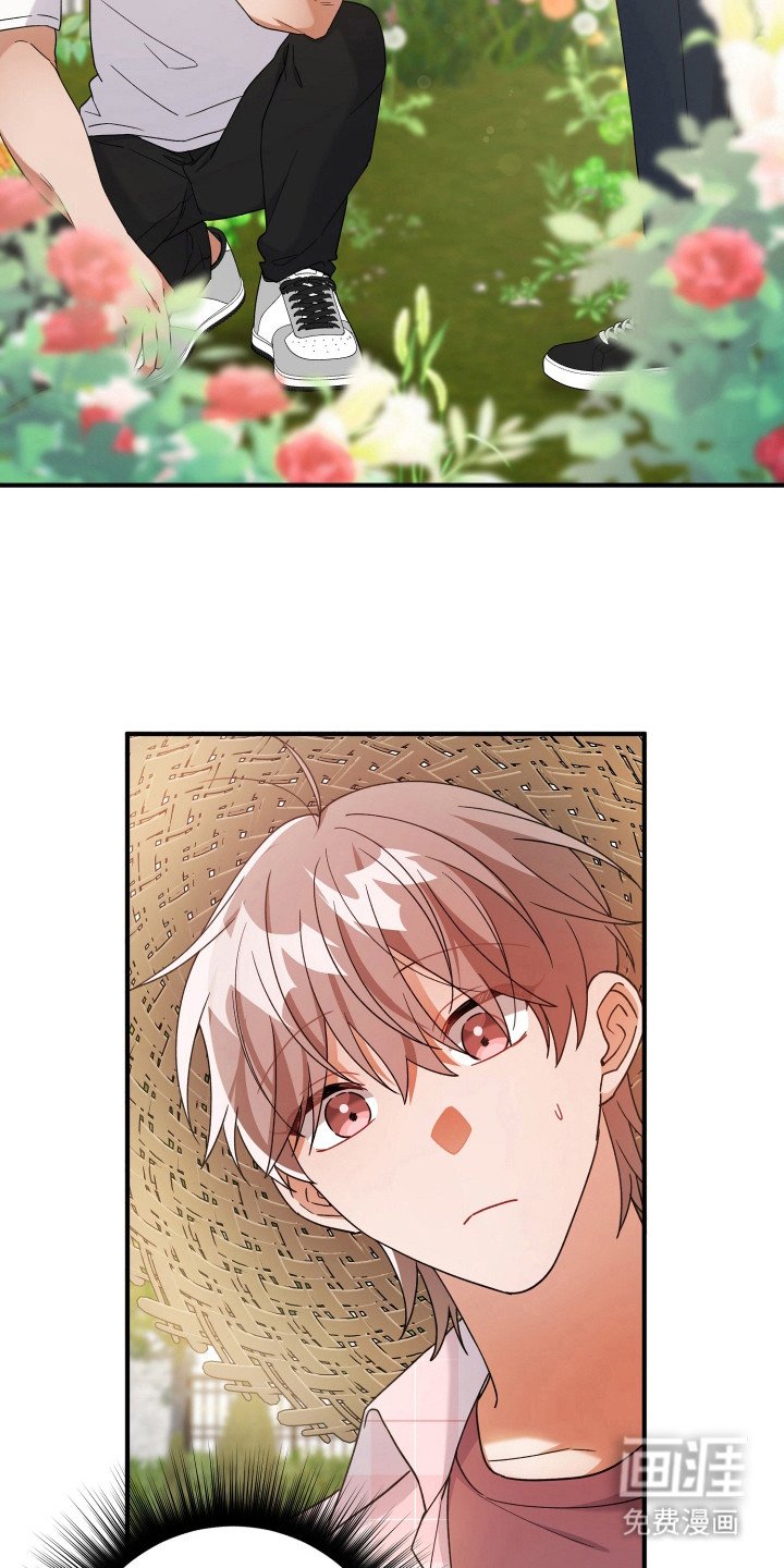 第42章：素材
