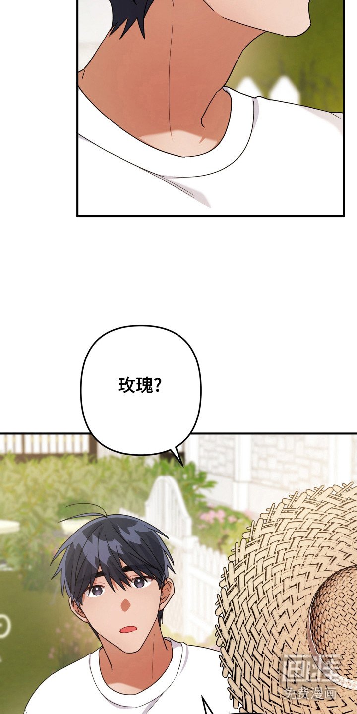 第42章：素材