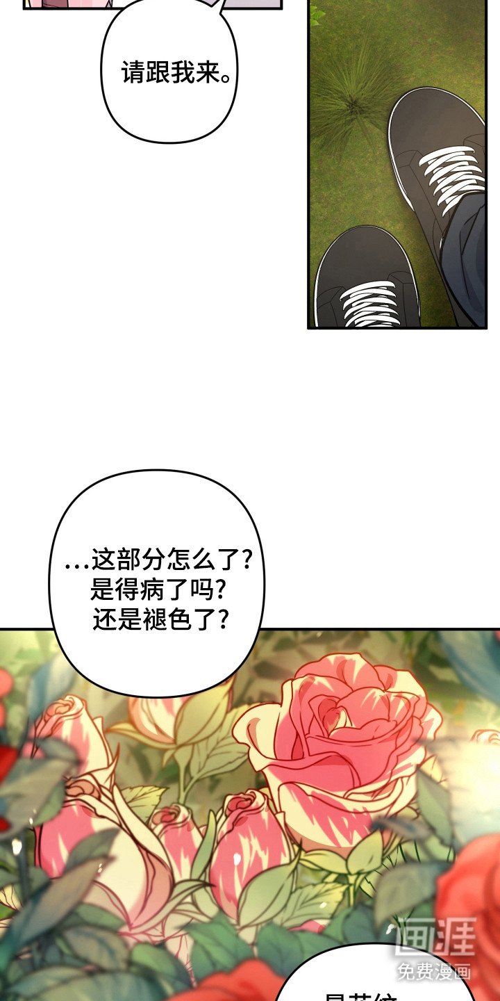 第42章：素材