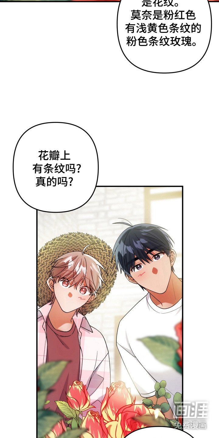 第42章：素材
