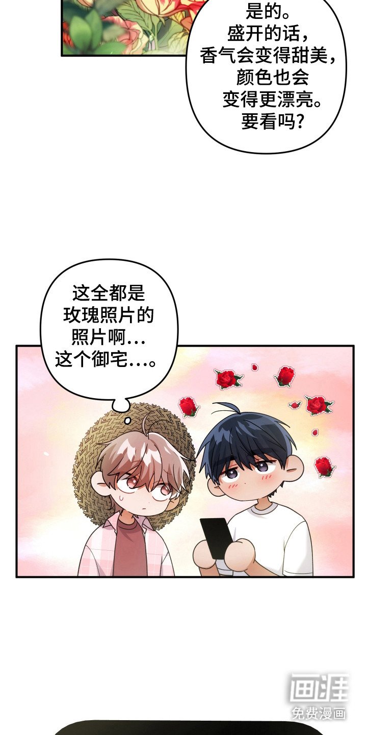 第42章：素材