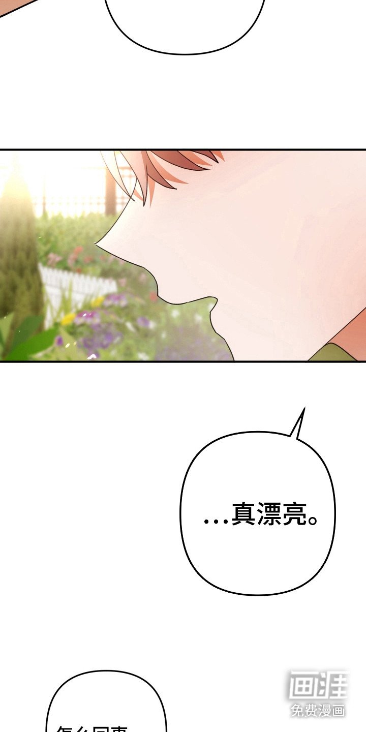 第42章：素材