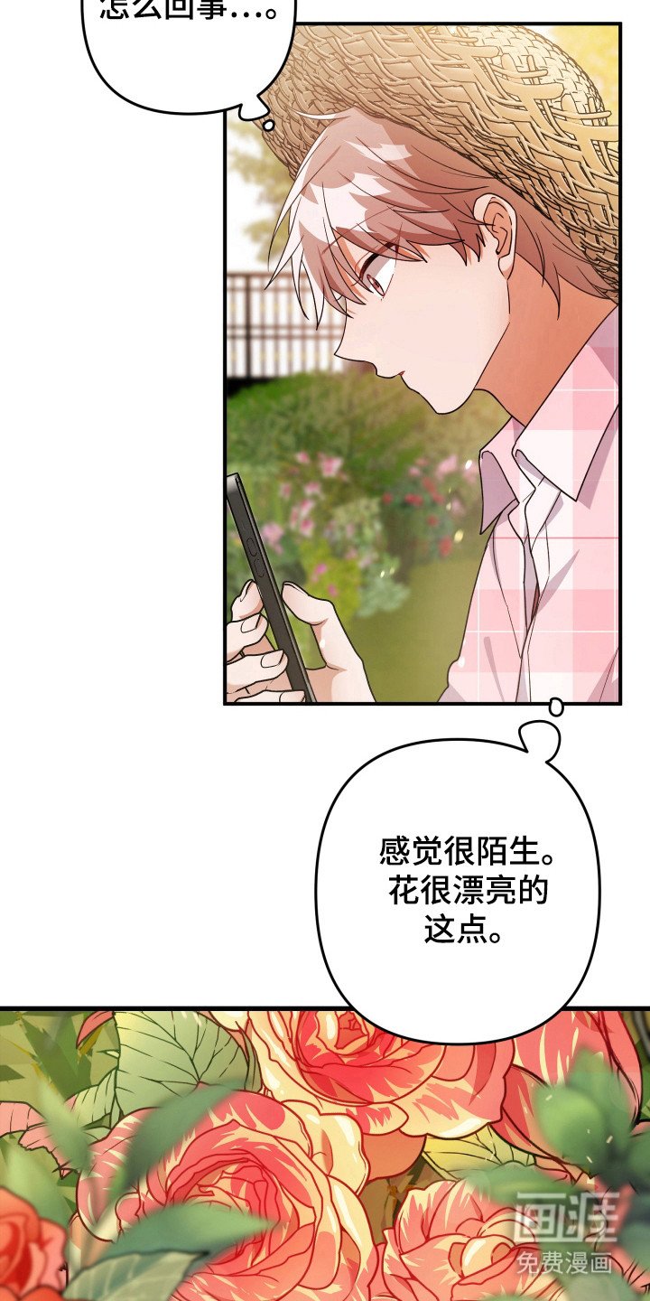 第42章：素材