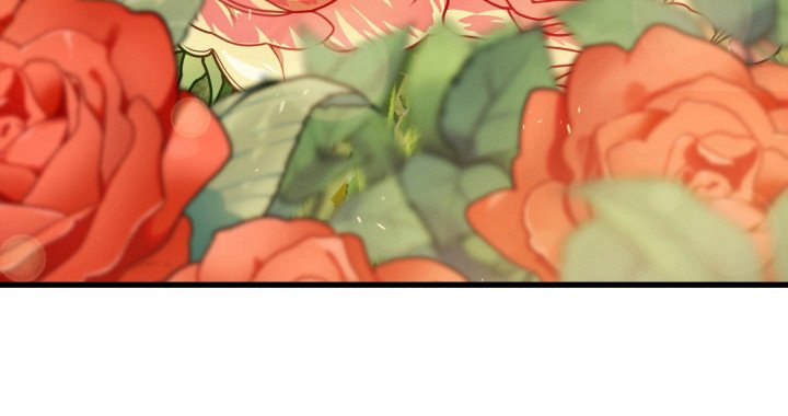 第42章：素材