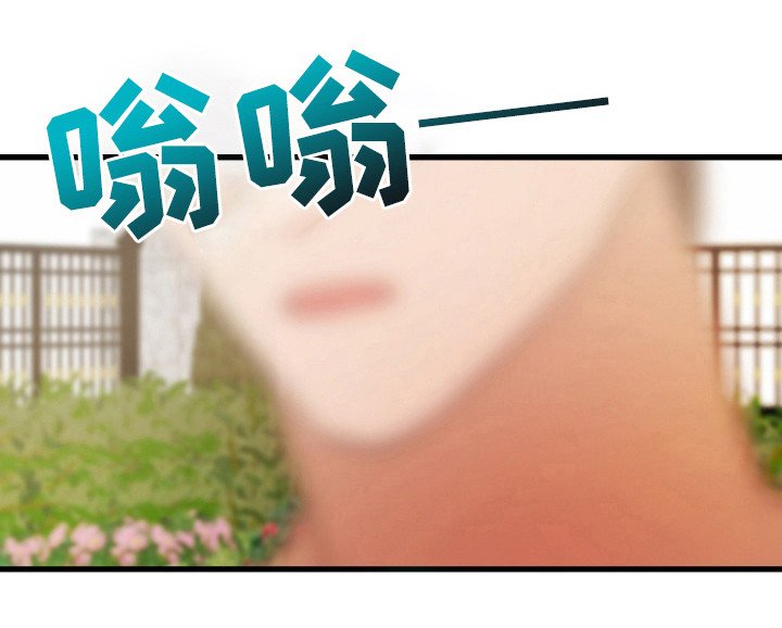 第42章：素材