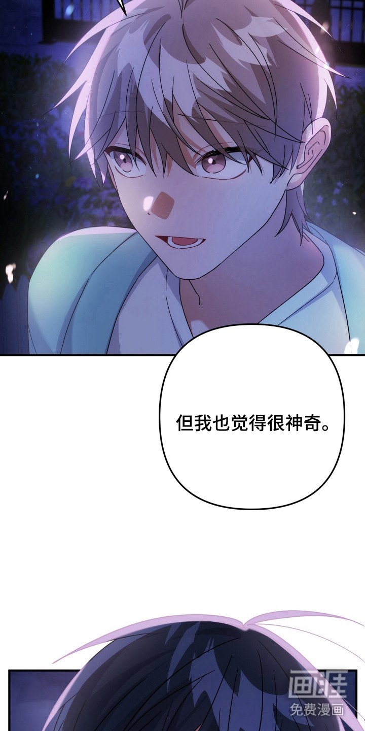第43章：来源