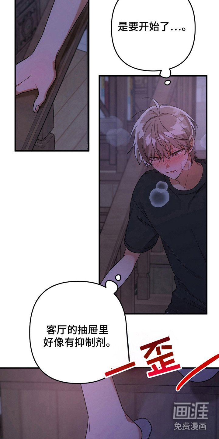 第45章：梦