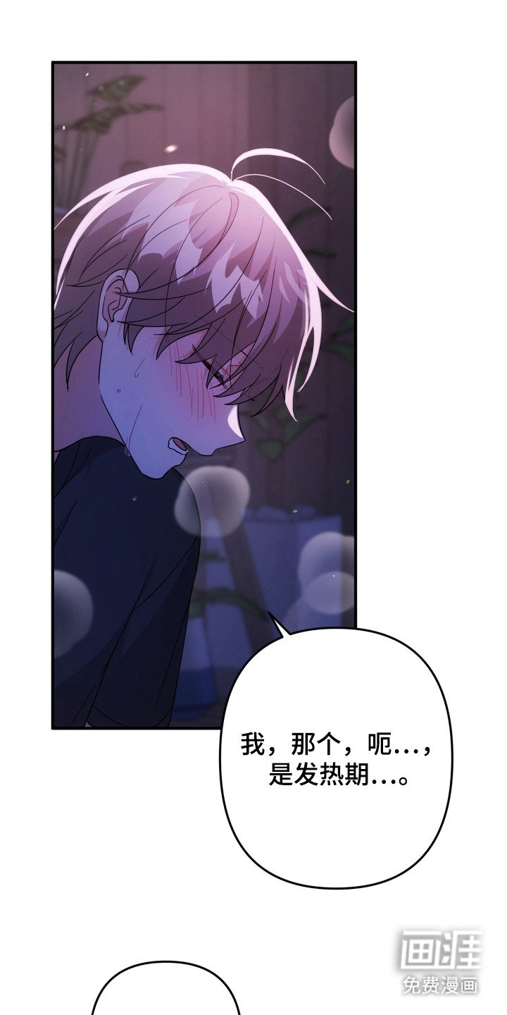 第46章：处于发热期
