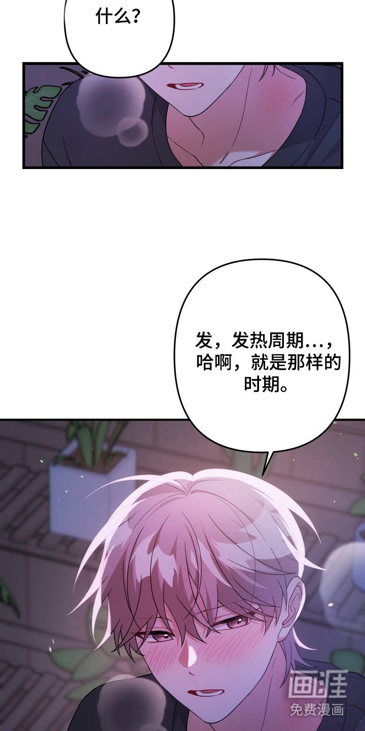 第46章：处于发热期