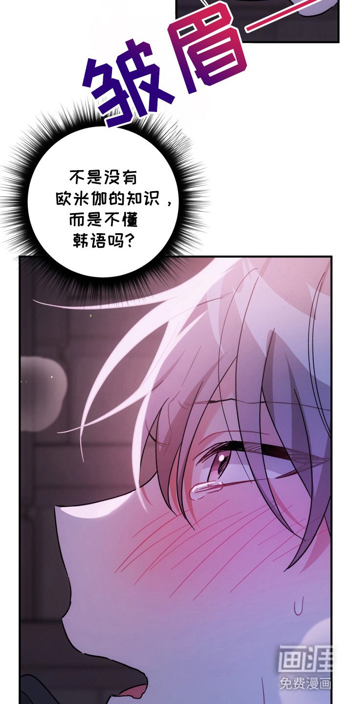 第46章：处于发热期