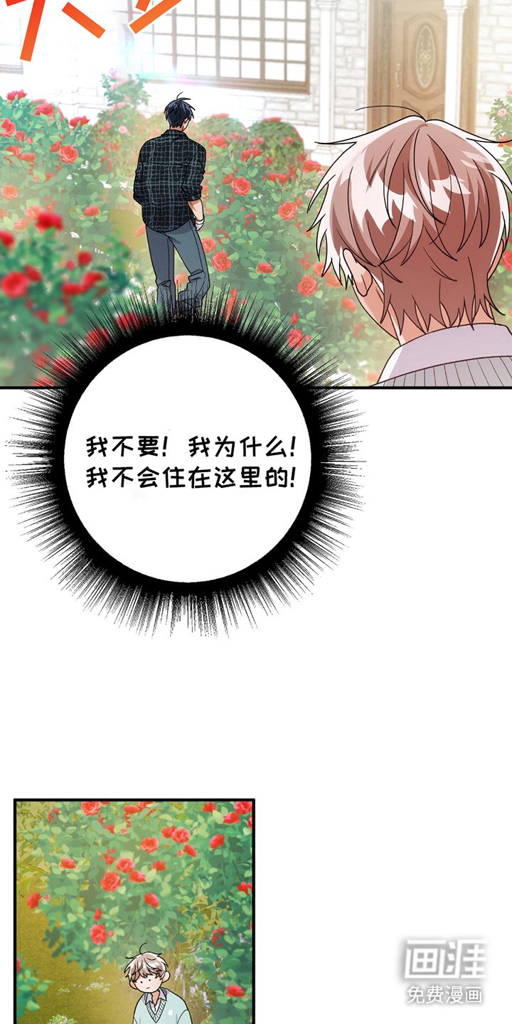 第5章：正面突破