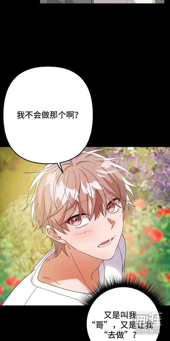 第50章：正常运转