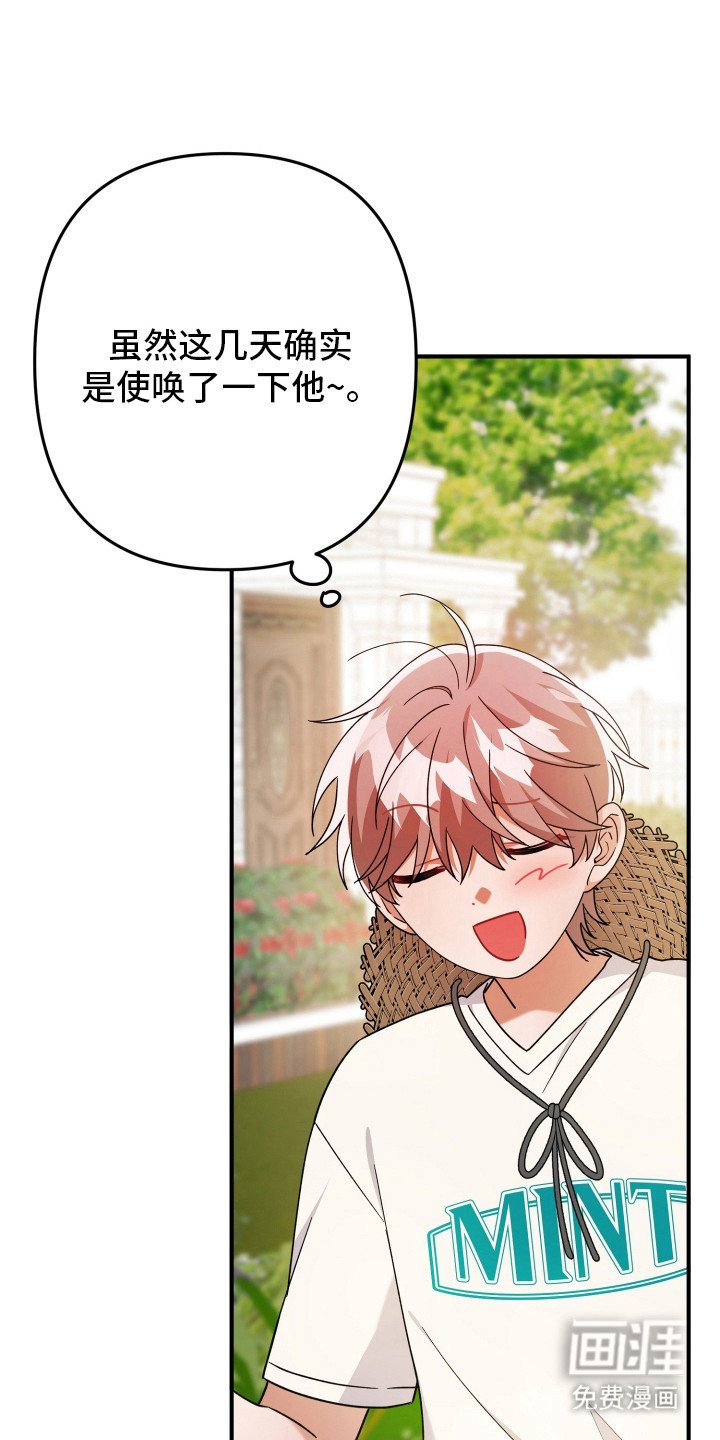 第50章：正常运转