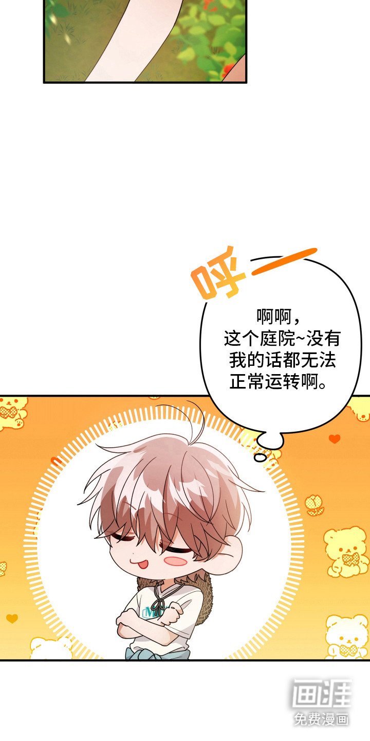 第50章：正常运转