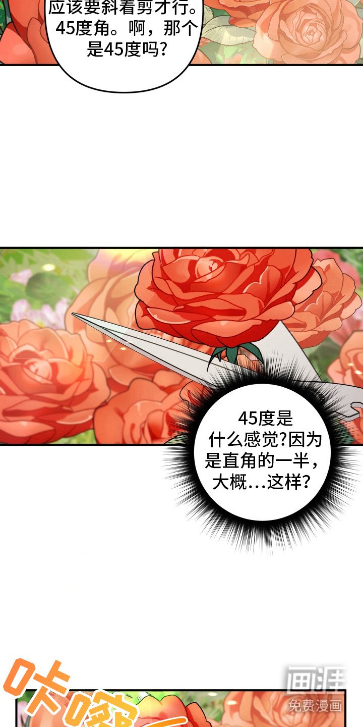 第50章：正常运转