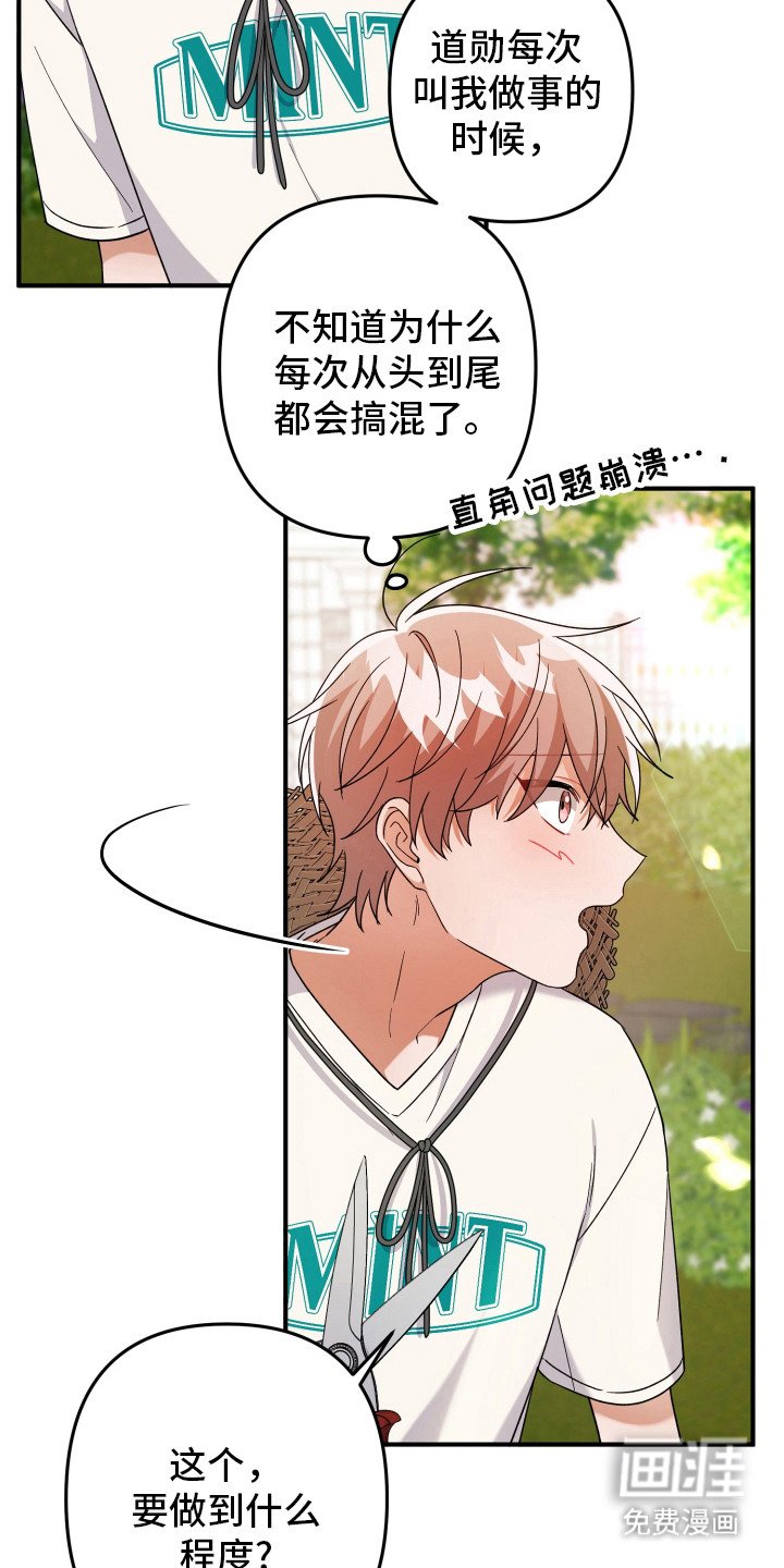 第50章：正常运转