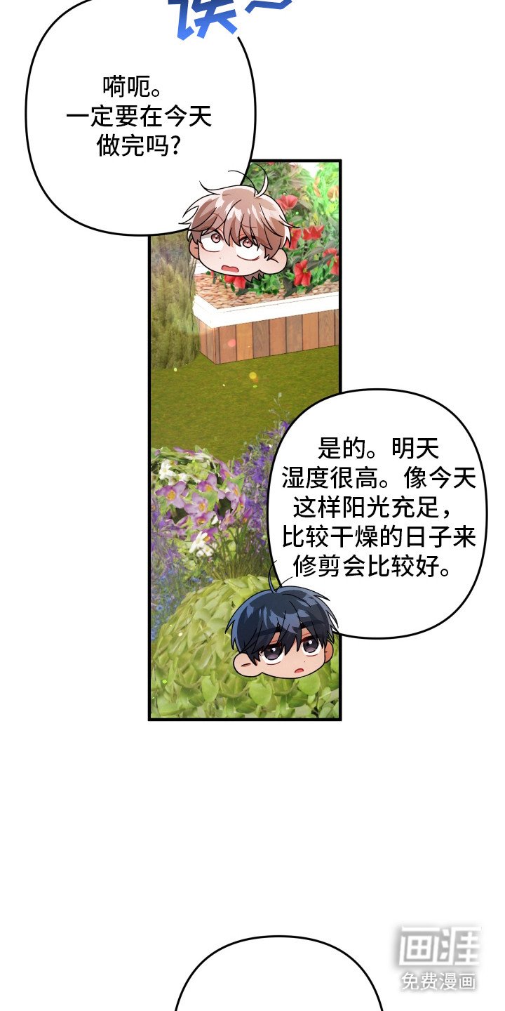 第50章：正常运转