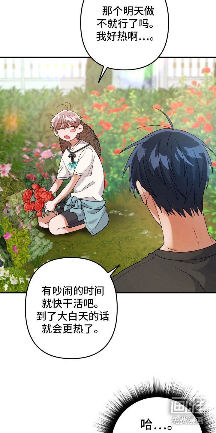 第50章：正常运转