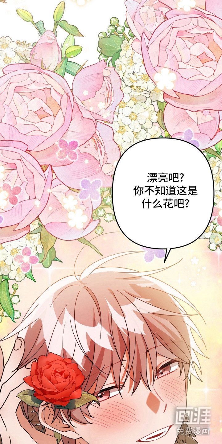 第51章：脸红