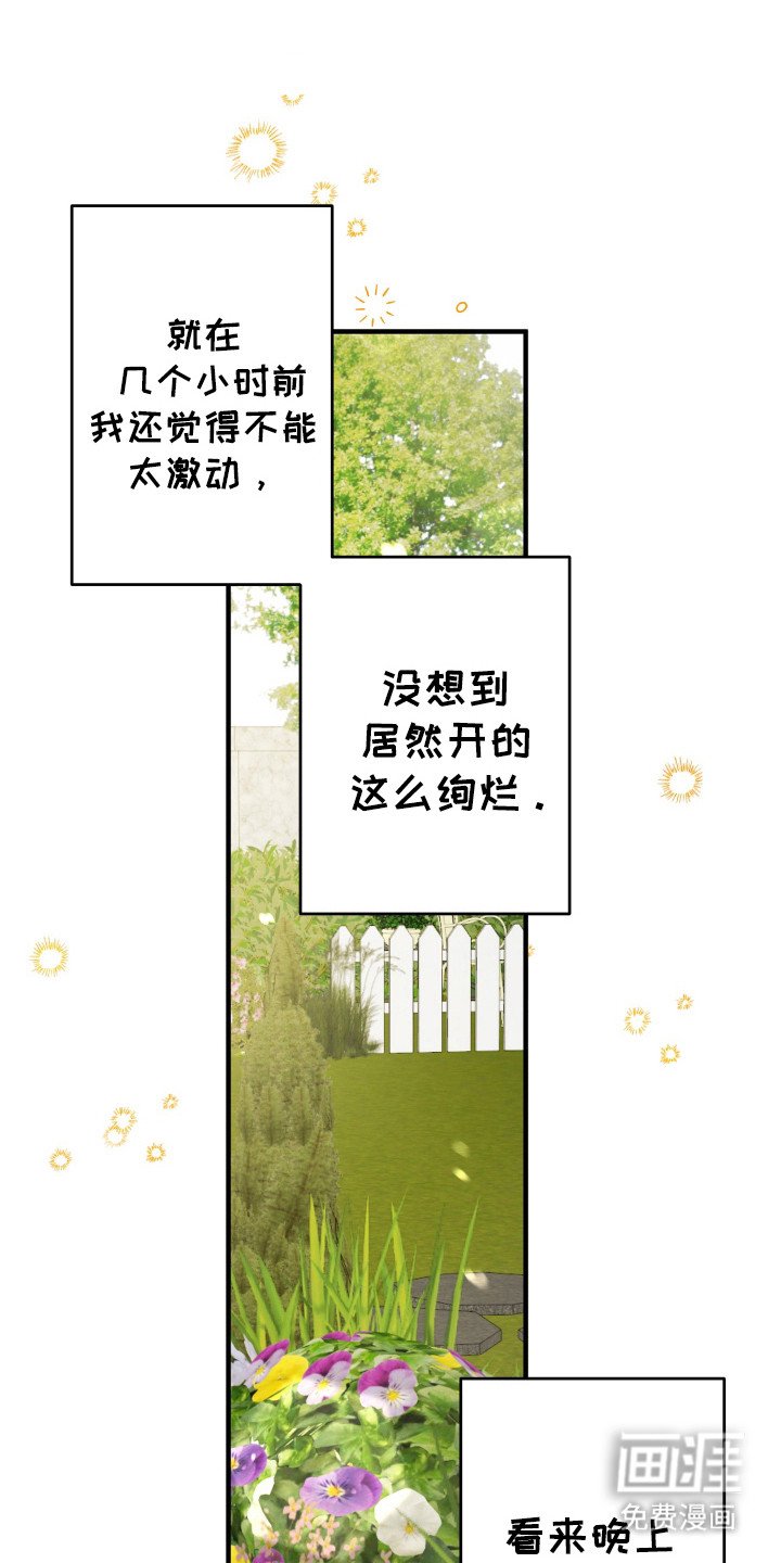 第53章：奇怪想象