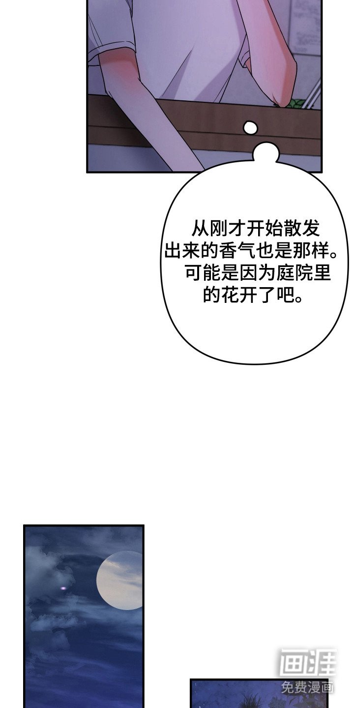 第53章：奇怪想象